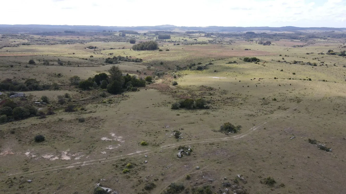 Campo de 52ha  con paisaje serrano en Garzon — foto 2