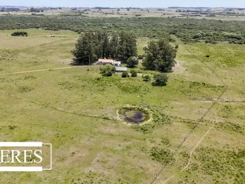 Campo en Garzon 19has — foto 5