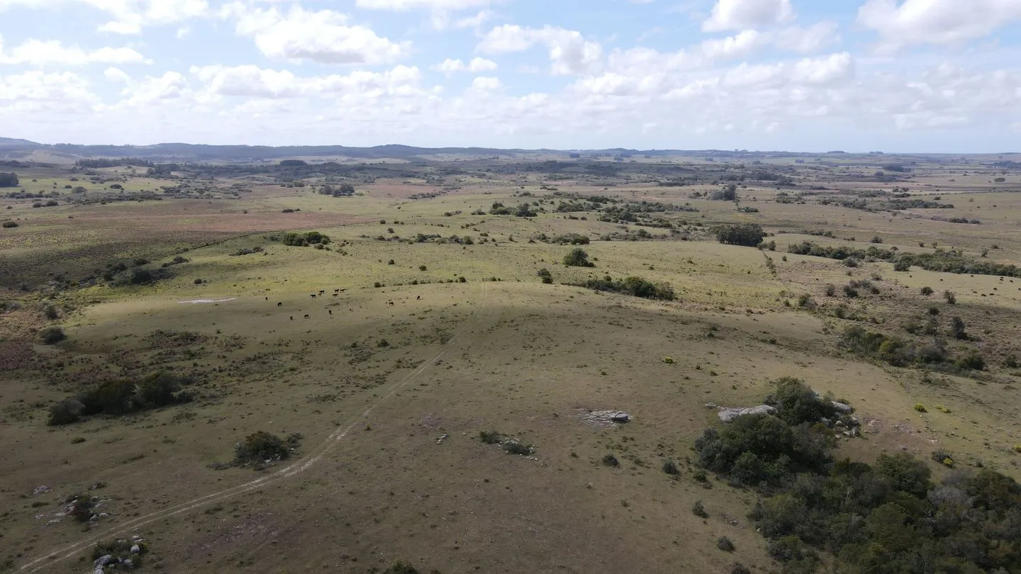 Campo de 52ha  con paisaje serrano en Garzon — foto 3