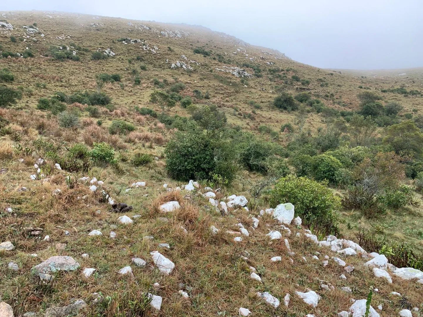 Chacra en sierras del Catedral 10ha — foto 4