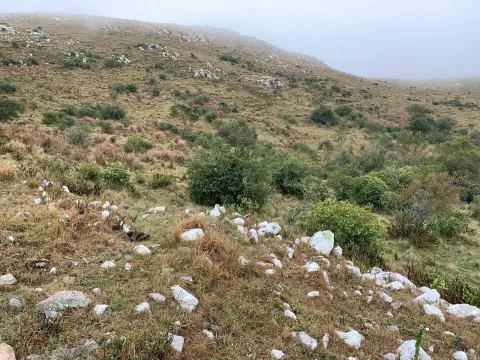 Chacra en sierras del Catedral 10ha — foto 4
