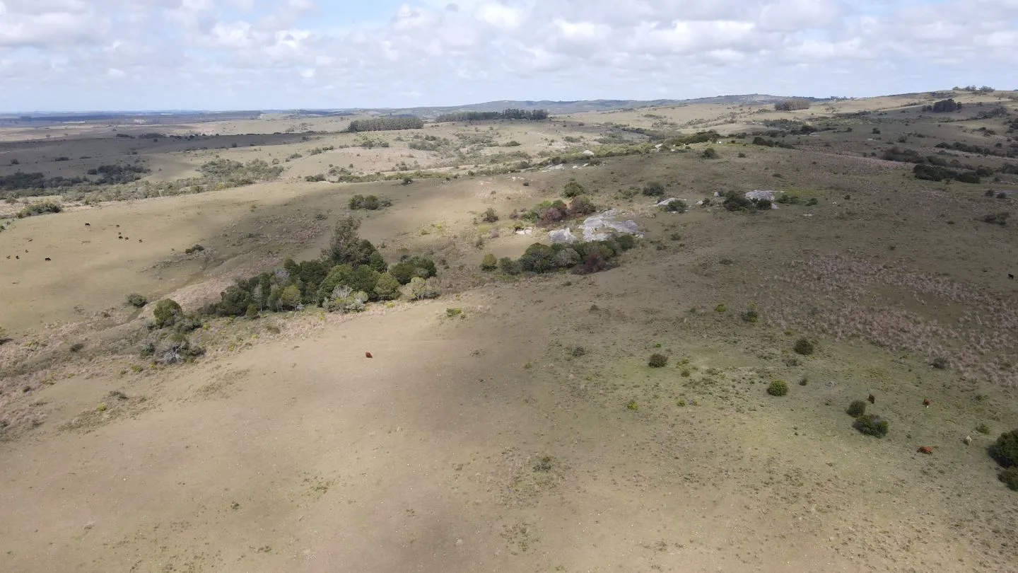 Campo de 52ha  con paisaje serrano en Garzon — foto 4