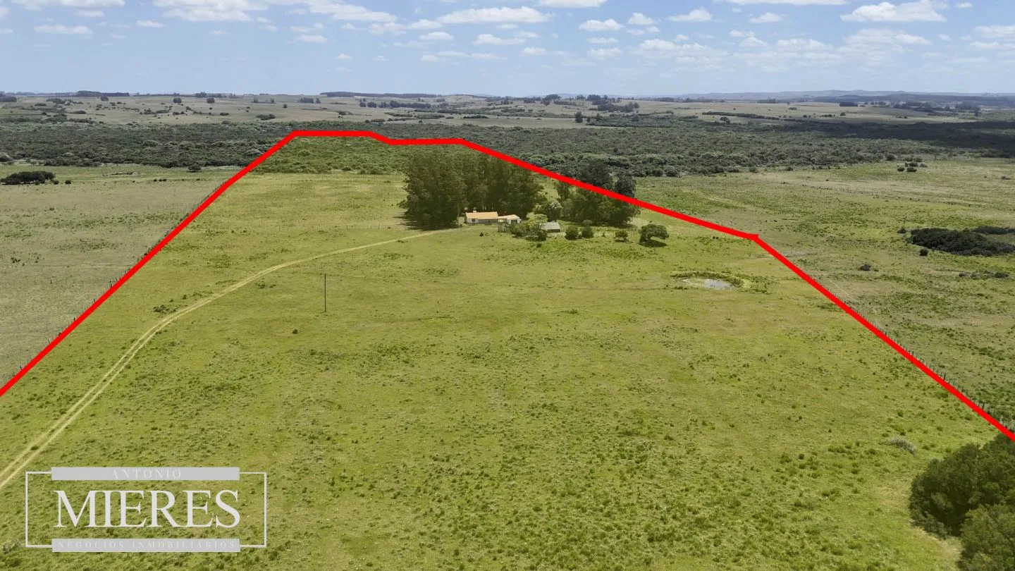 Campo en Garzon 19has — foto 6