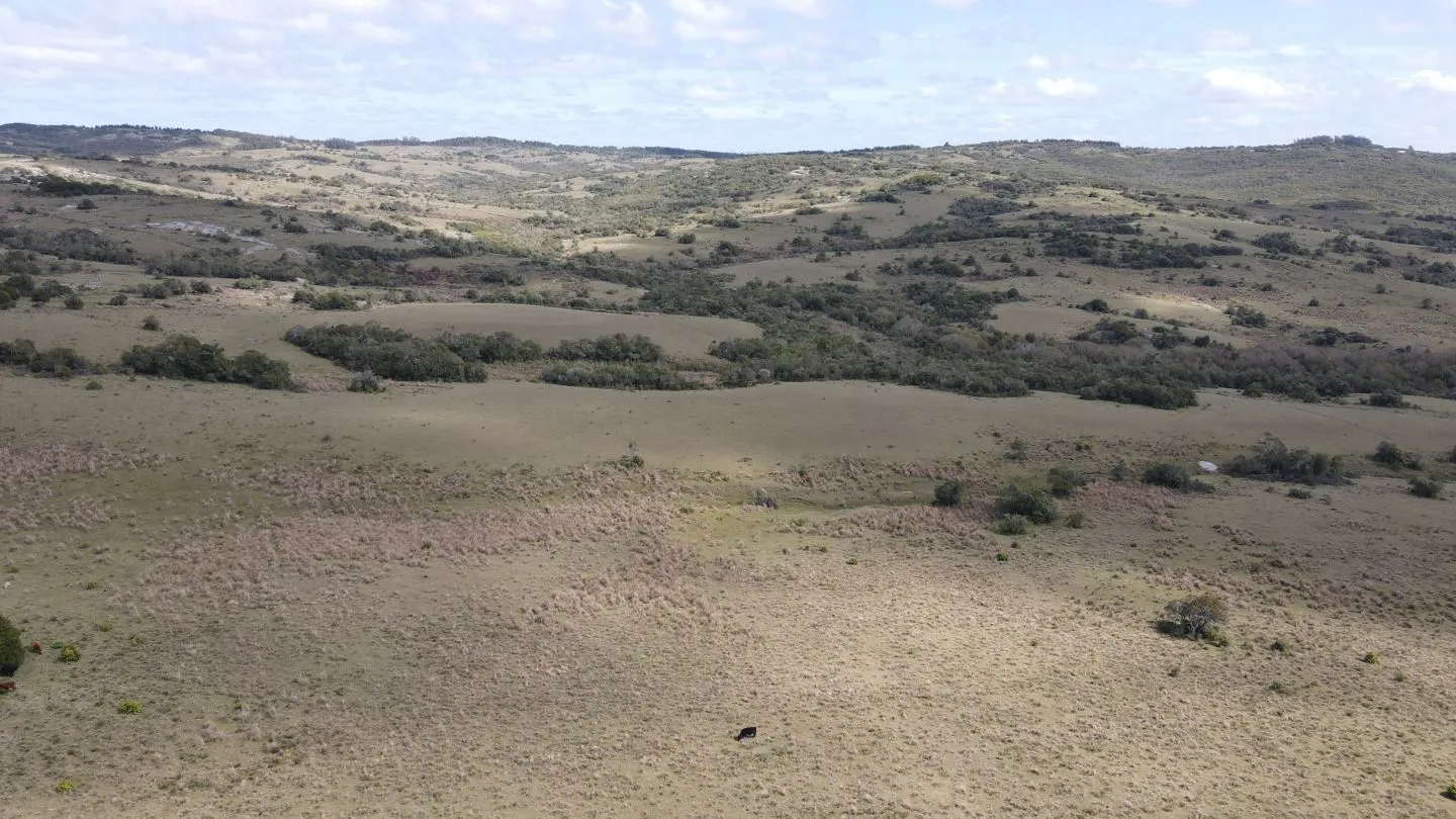 Campo de 52ha  con paisaje serrano en Garzon — foto 5