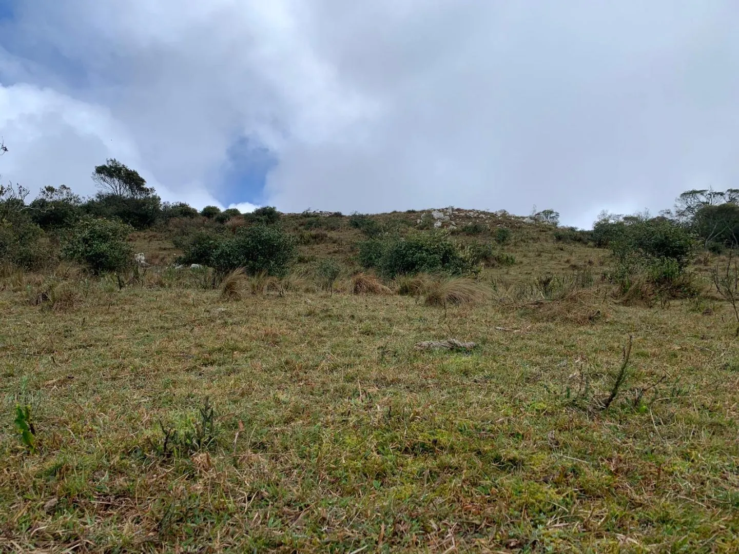 Chacra en sierras del Catedral 10ha — foto 5