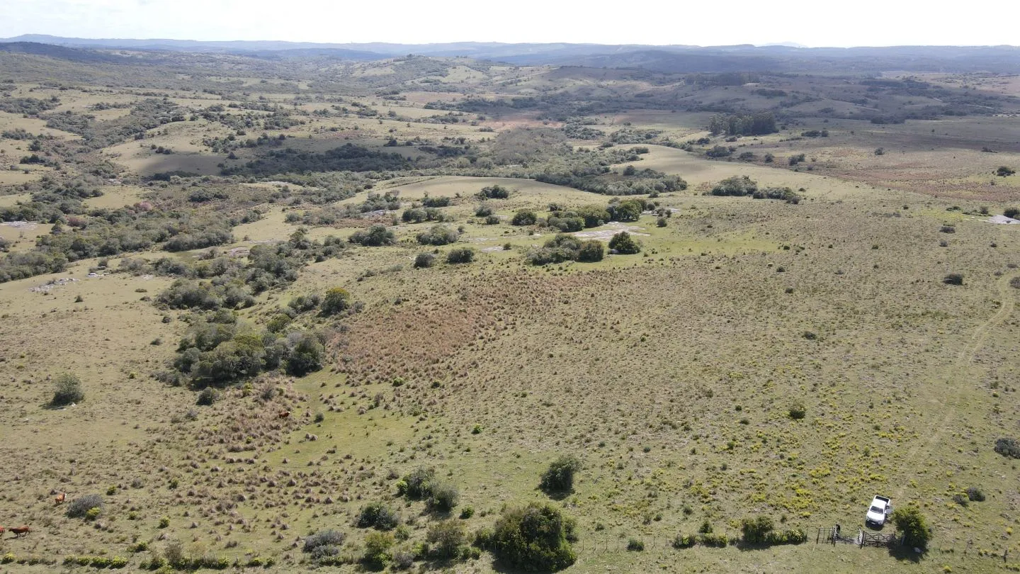 Campo de 52ha  con paisaje serrano en Garzon — foto 6