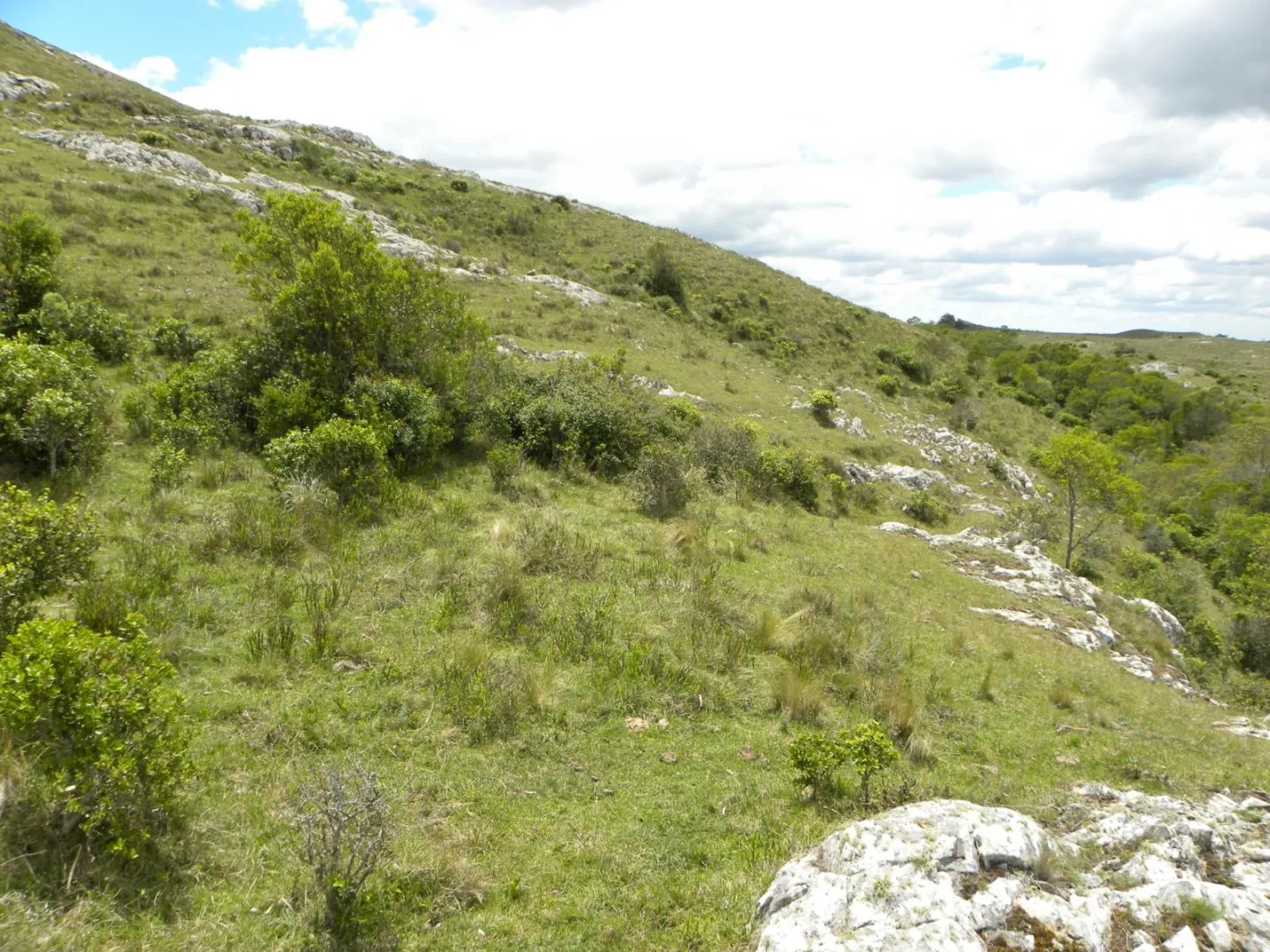 Chacra en sierras del Catedral 10ha — foto 7