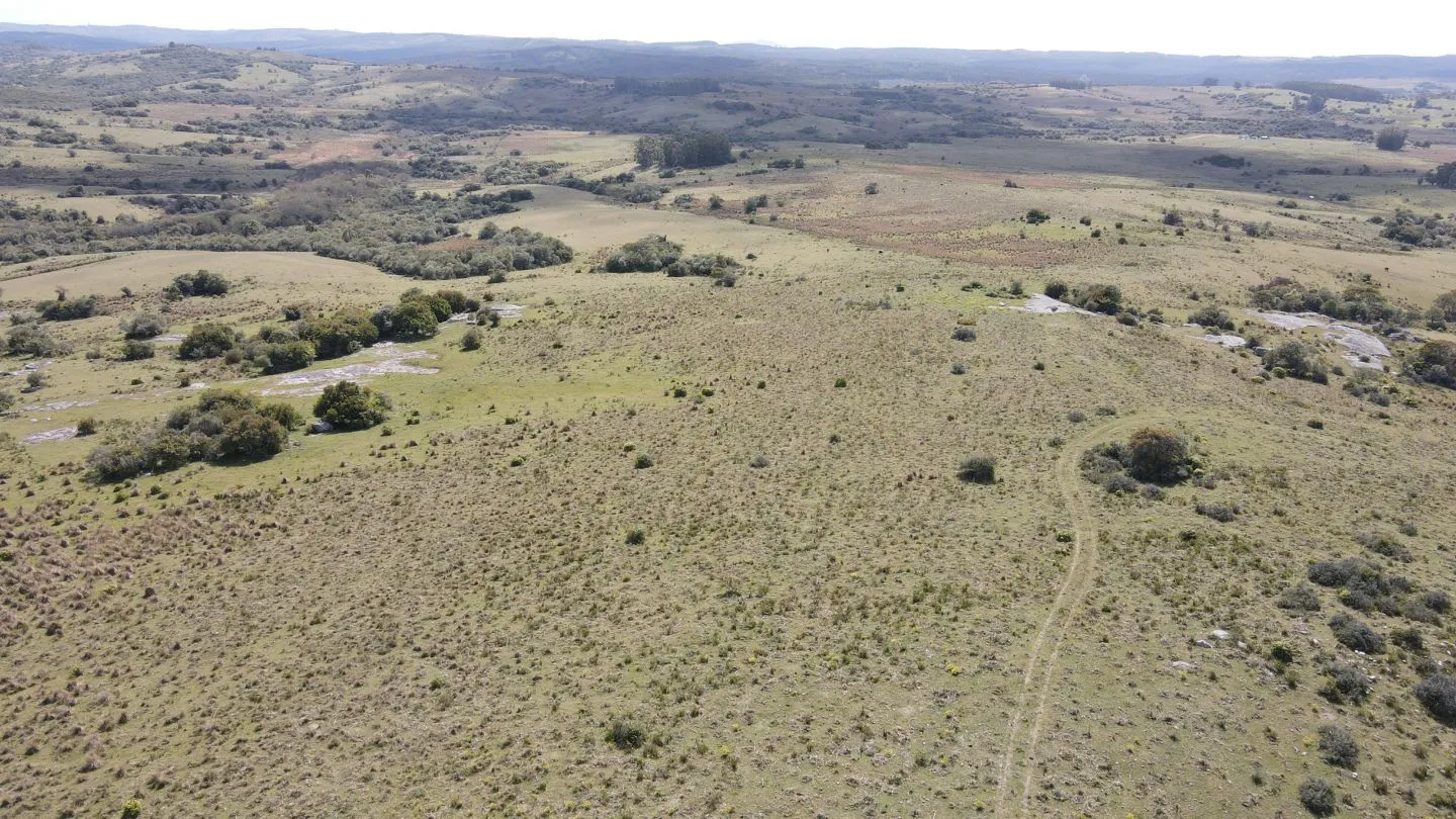 Campo de 52ha  con paisaje serrano en Garzon — foto 8