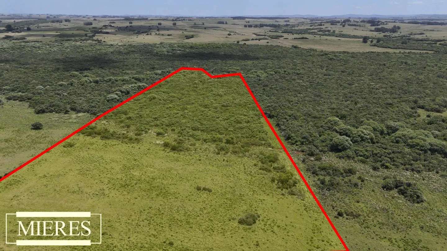 Campo en Garzon 19has — foto 10
