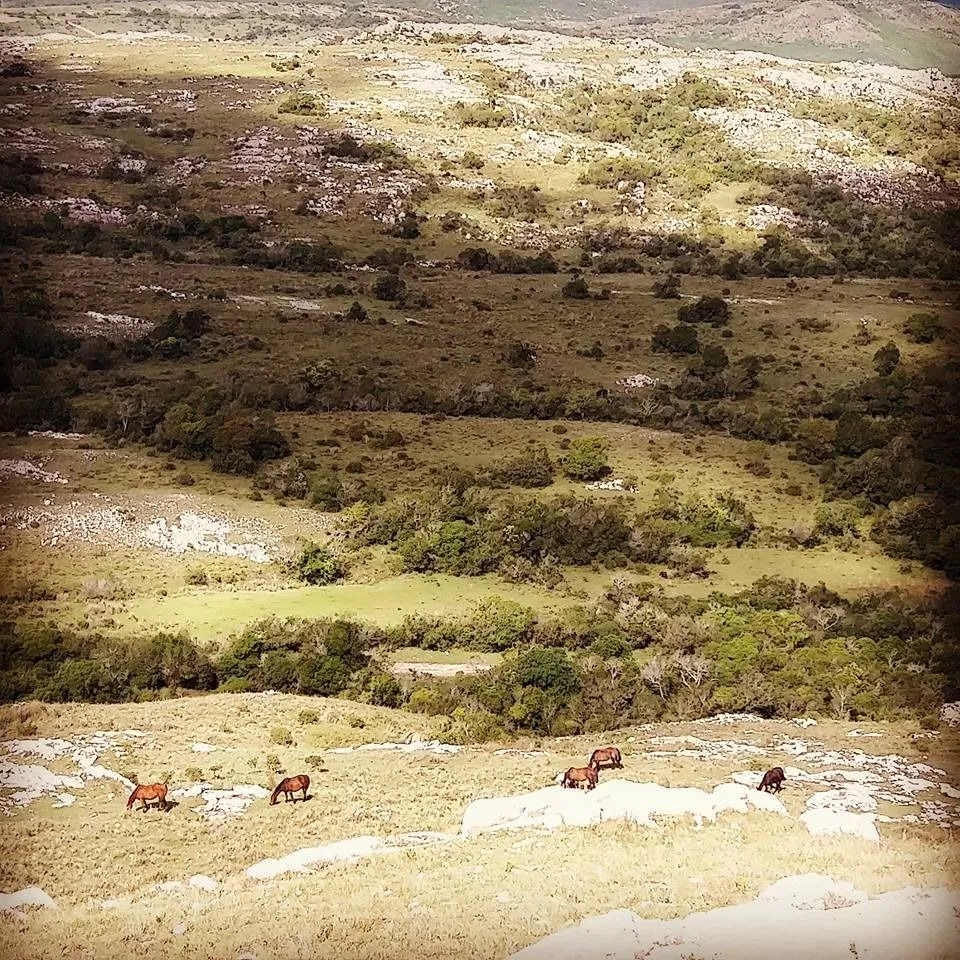 Chacra en sierras del Catedral 10ha — foto 8