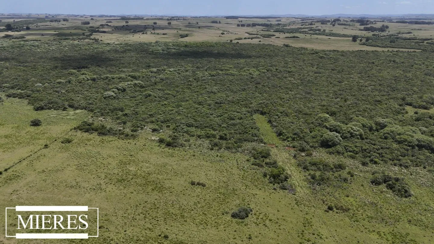 Campo en Garzon 19has — foto 11