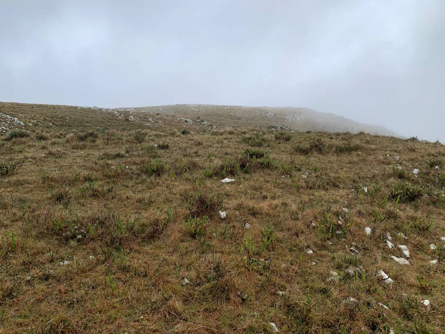 Chacra en sierras del Catedral 10ha — foto 9
