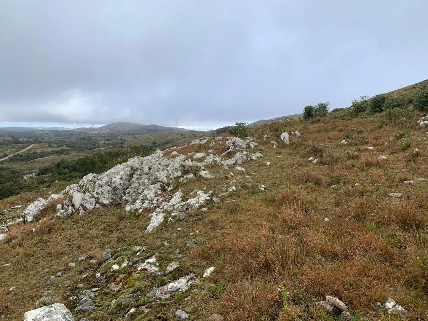 Chacra en sierras del Catedral 10ha — foto 10