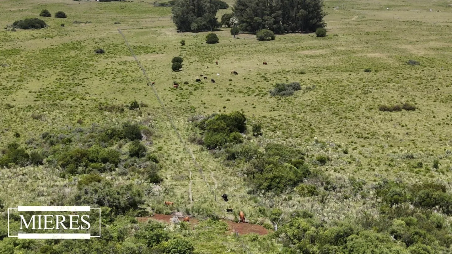 Campo en Garzon 19has — foto 13