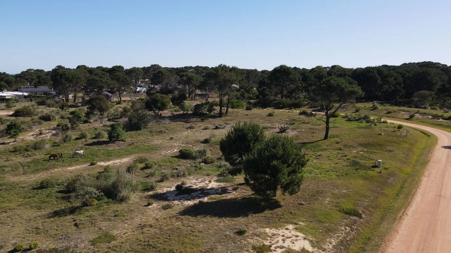 Lote en Venta en Playa Brava/ Jose Ignacio (barrio cerrado) — foto 8