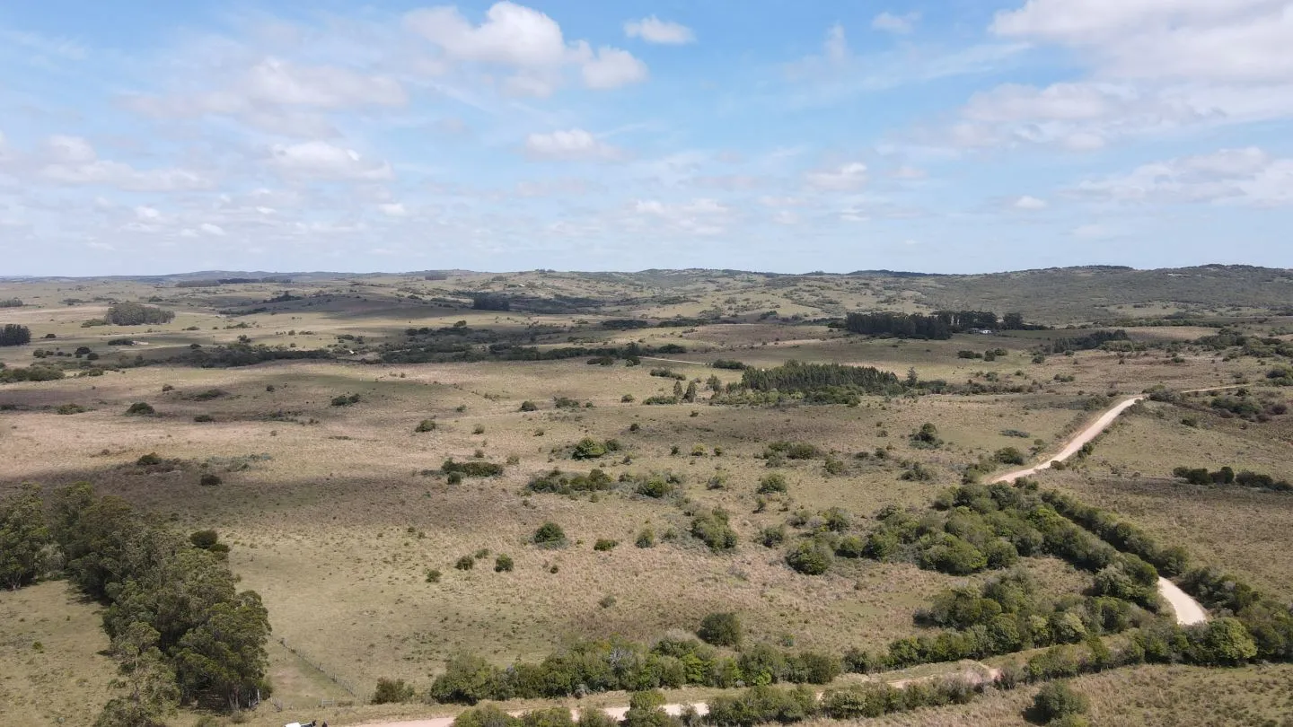 Campo de 50 ha ganadero en Maldonado, Garzon — foto 1