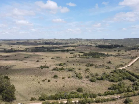 Campo de 50 ha ganadero en Maldonado, Garzon
