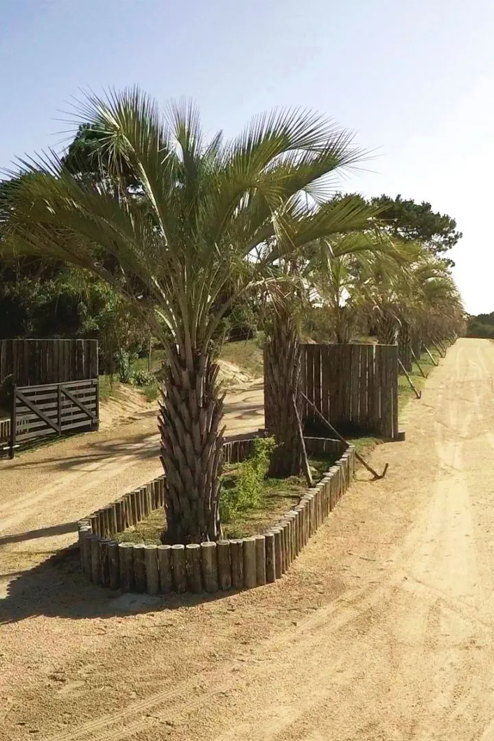 Lote en Venta en Playa Brava/ Jose Ignacio (barrio cerrado) — foto 11