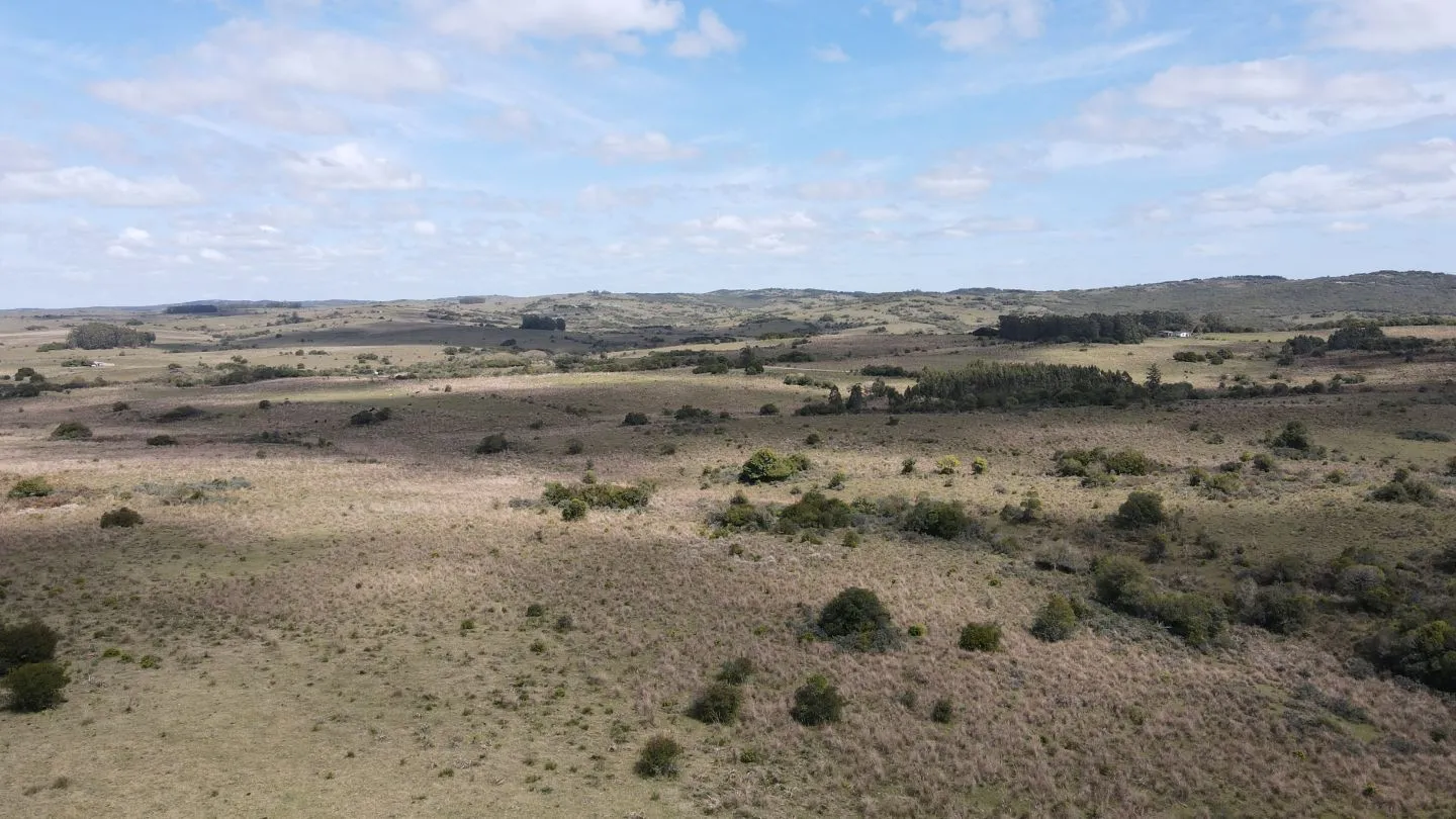 Campo de 50 ha ganadero en Maldonado, Garzon — foto 2
