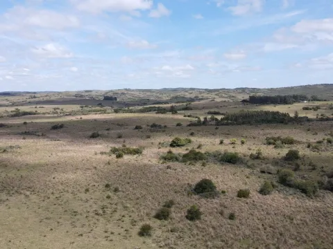 Campo de 50 ha ganadero en Maldonado, Garzon — foto 2