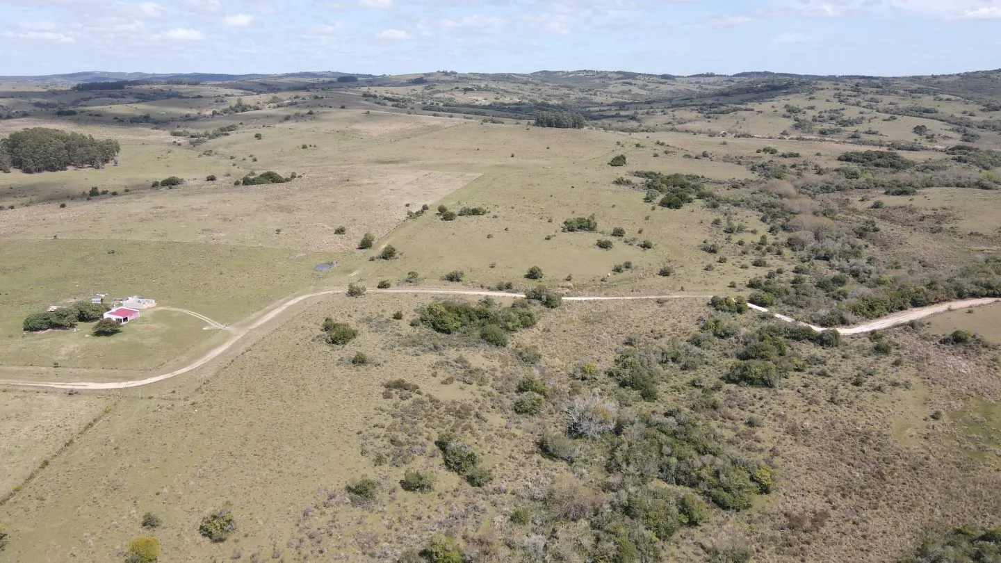 Campo de 50 ha ganadero en Maldonado, Garzon — foto 3