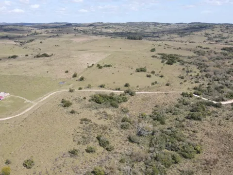 Campo de 50 ha ganadero en Maldonado, Garzon — foto 3