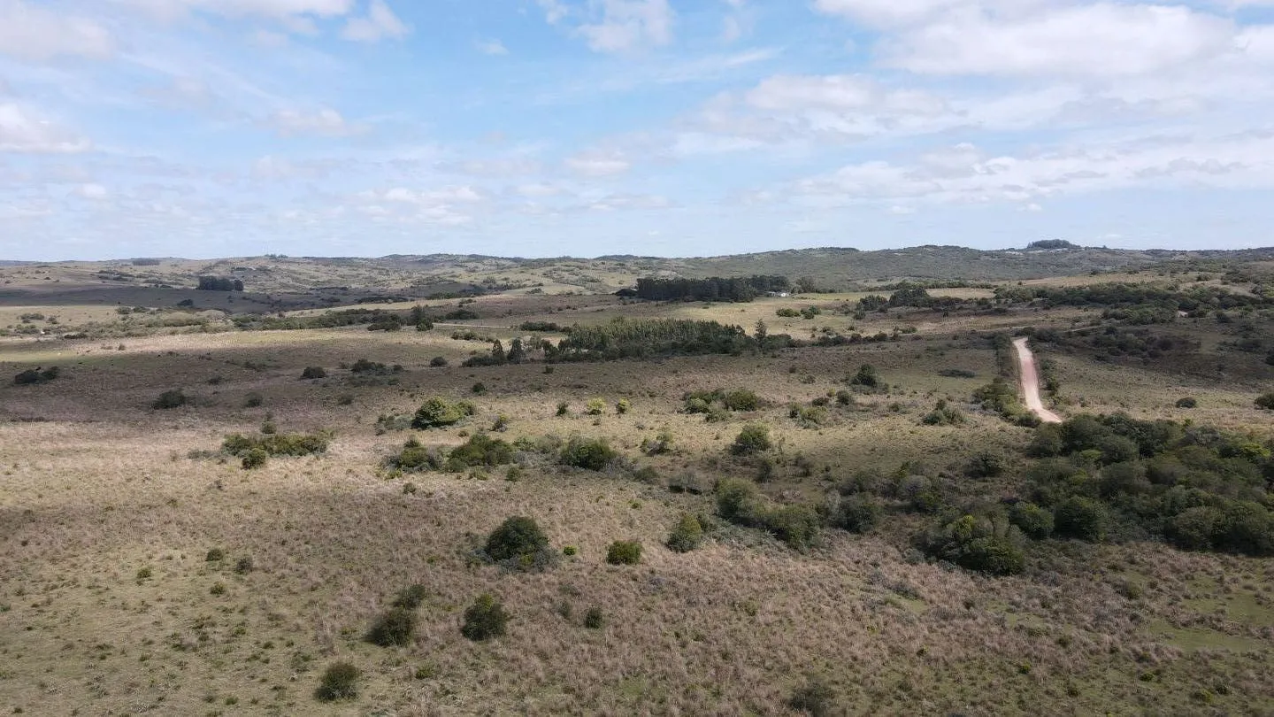 Campo de 50 ha ganadero en Maldonado, Garzon — foto 4