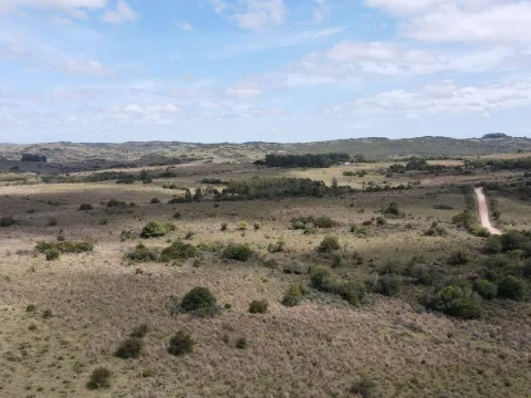 Campo de 50 ha ganadero en Maldonado, Garzon — foto 4
