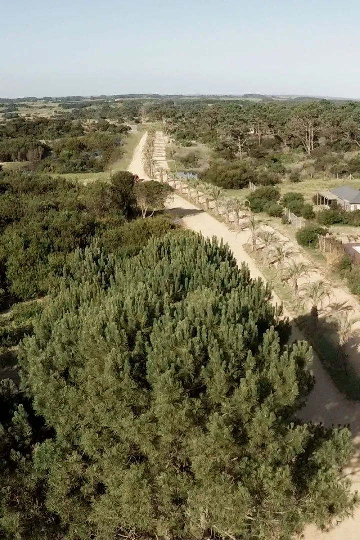 Lote en Venta en Playa Brava/ Jose Ignacio (barrio cerrado) — foto 14