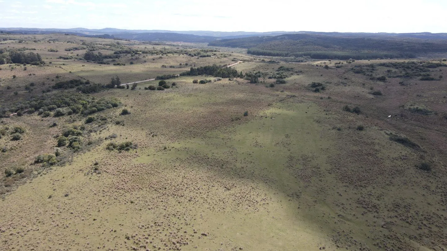 Campo de 50 ha ganadero en Maldonado, Garzon — foto 5