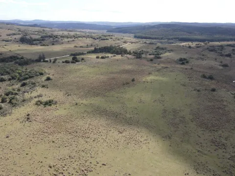 Campo de 50 ha ganadero en Maldonado, Garzon — foto 5