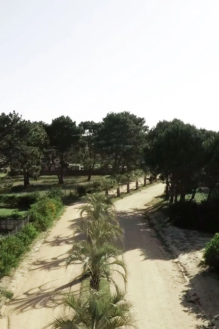 Lote en Venta en Playa Brava/ Jose Ignacio (barrio cerrado) — foto 15