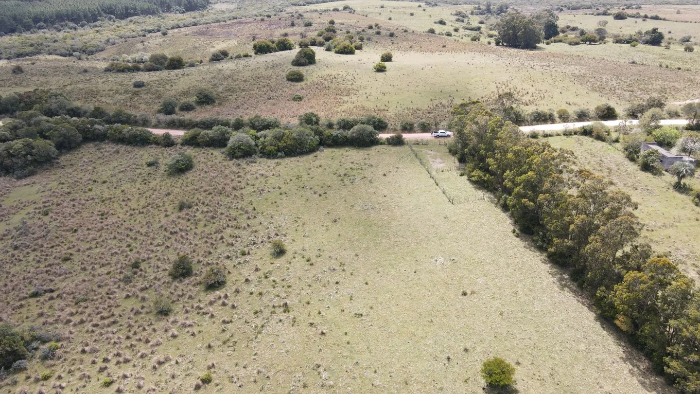 Campo de 50 ha ganadero en Maldonado, Garzon — foto 6