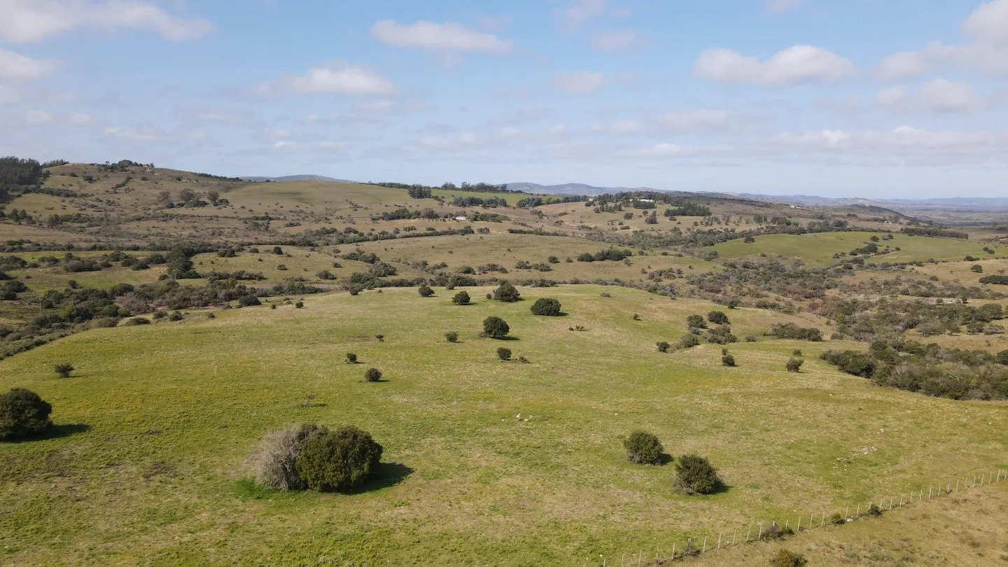 Establecimiento completo de 51ha Pueblo Edén ref 7082 — foto 1