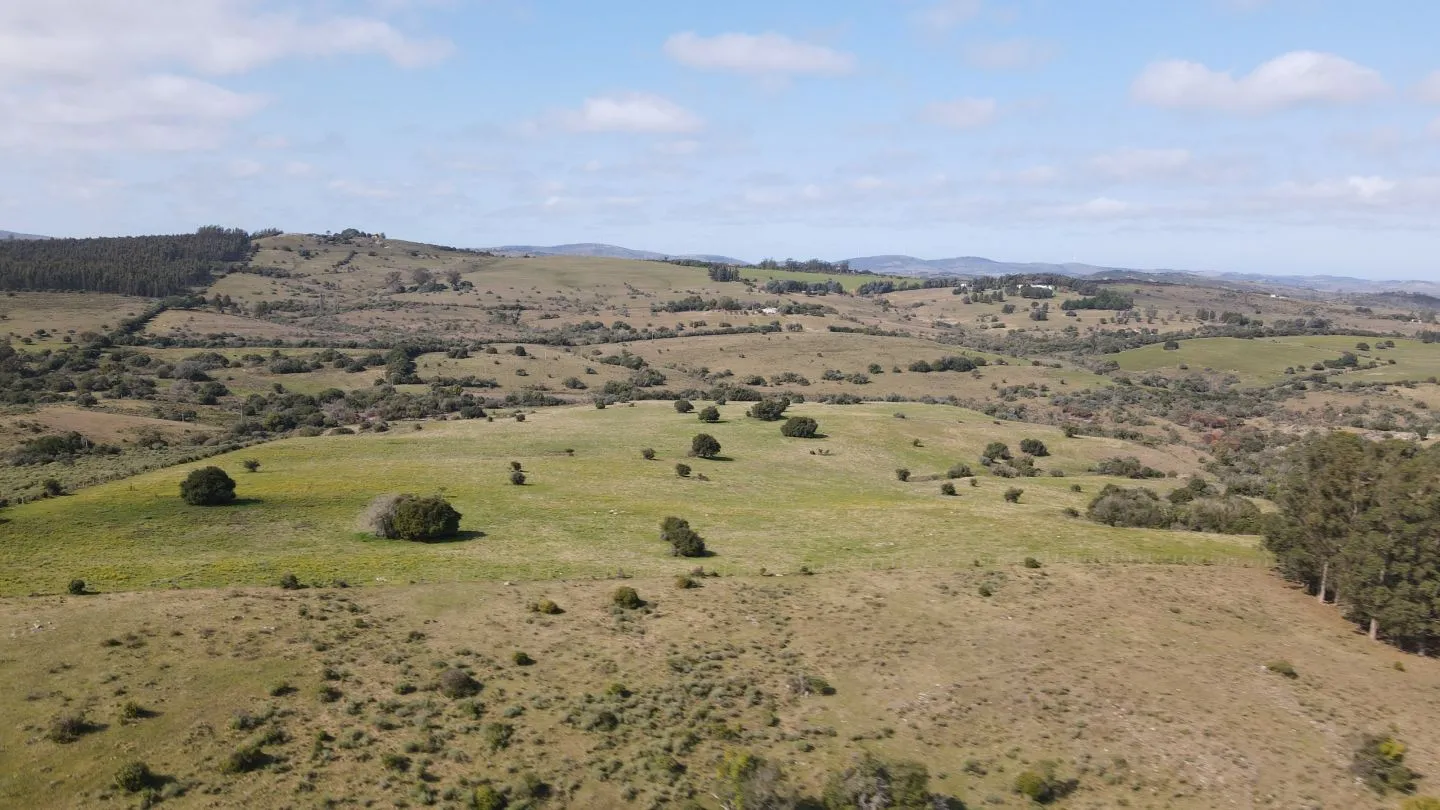 Establecimiento completo de 51ha Pueblo Edén ref 7082 — foto 2