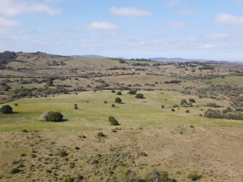 Establecimiento completo de 51ha Pueblo Edén ref 7082 — foto 2