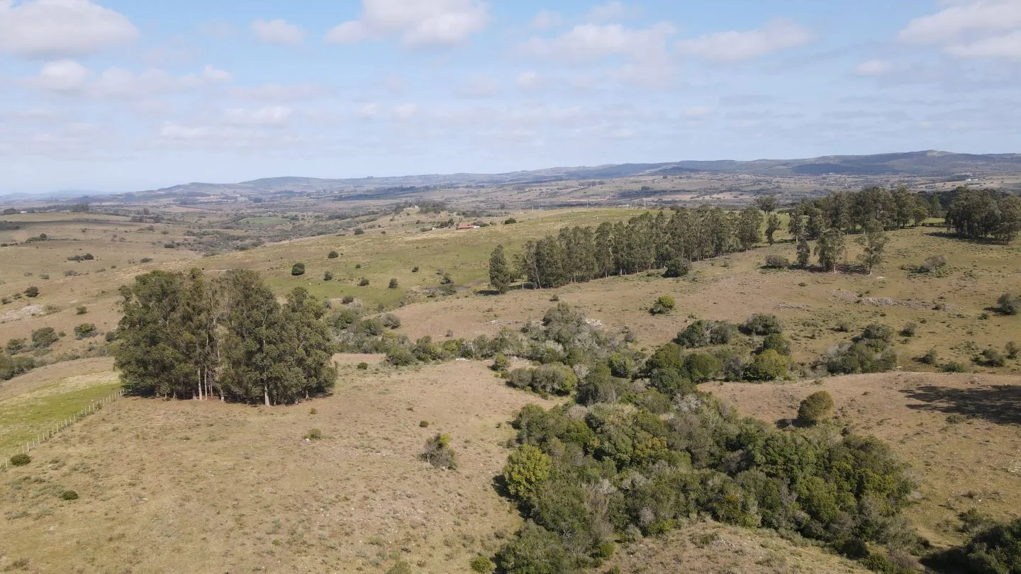 Establecimiento completo de 51ha Pueblo Edén ref 7082 — foto 3