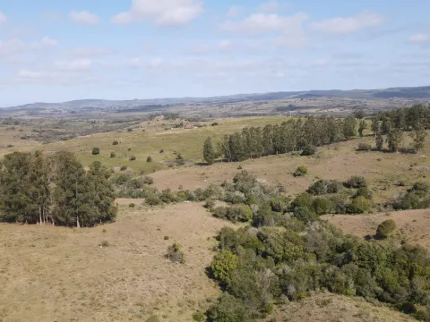 Establecimiento completo de 51ha Pueblo Edén ref 7082 — foto 3