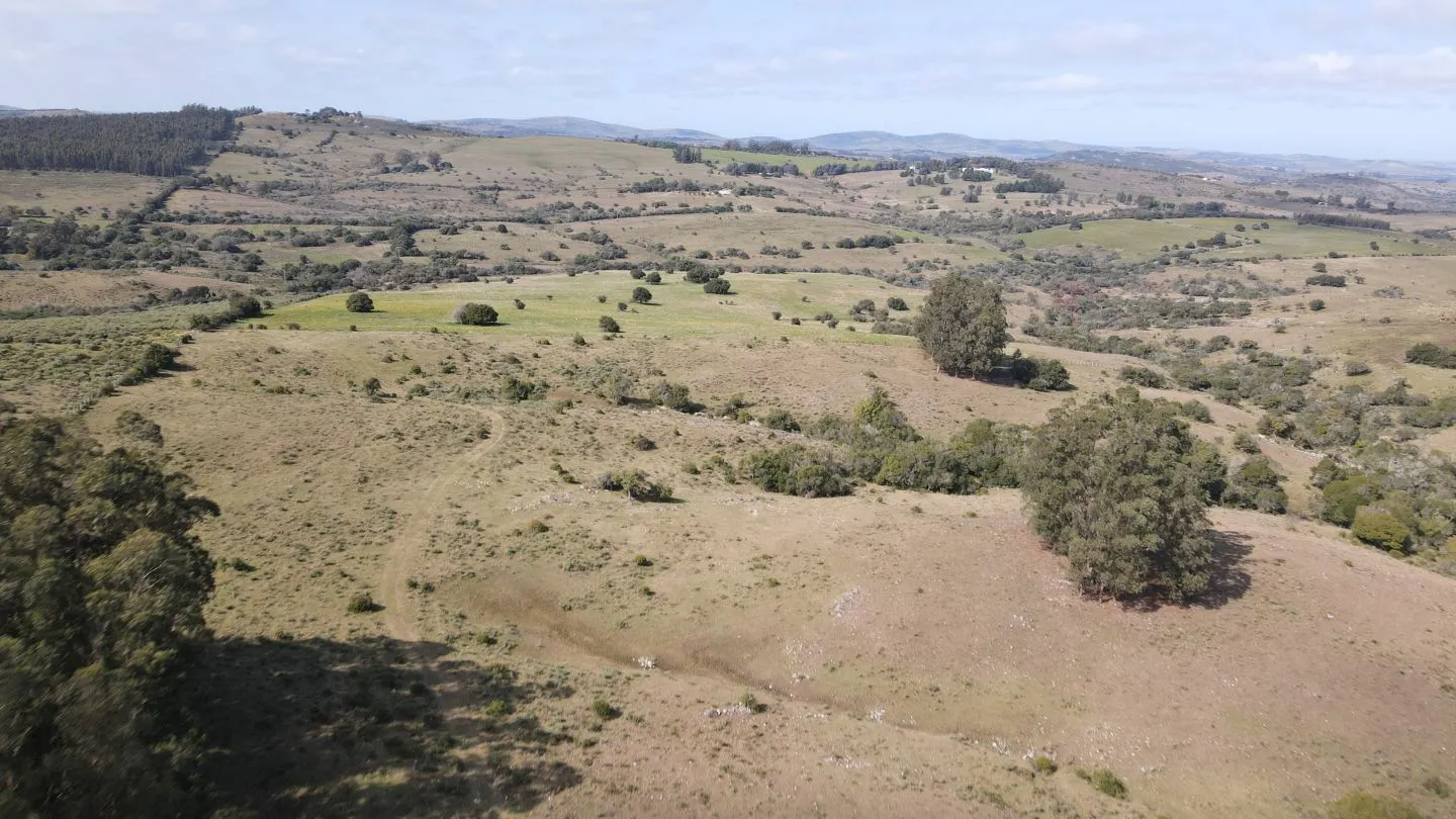 Establecimiento completo de 51ha Pueblo Edén ref 7082 — foto 4