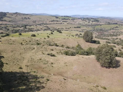Establecimiento completo de 51ha Pueblo Edén ref 7082 — foto 4