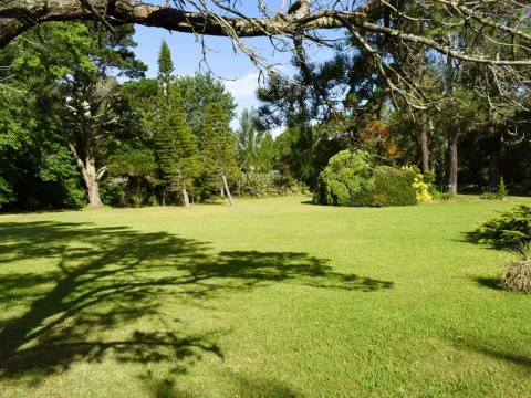 Venta casa 5 dormitorios Golf-Punta del Este — foto 5