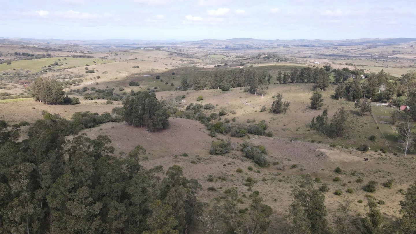 Establecimiento completo de 51ha Pueblo Edén ref 7082 — foto 5