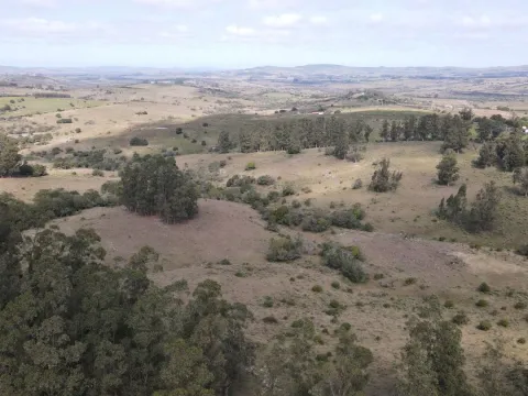 Establecimiento completo de 51ha Pueblo Edén ref 7082 — foto 5