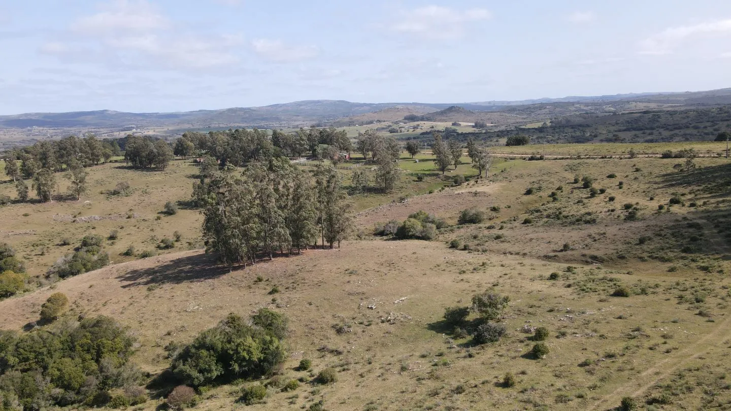 Establecimiento completo de 51ha Pueblo Edén ref 7082 — foto 6