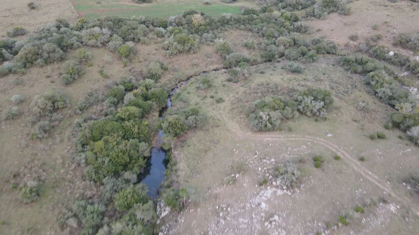 Establecimiento completo de 51ha Pueblo Edén ref 7082 — foto 7