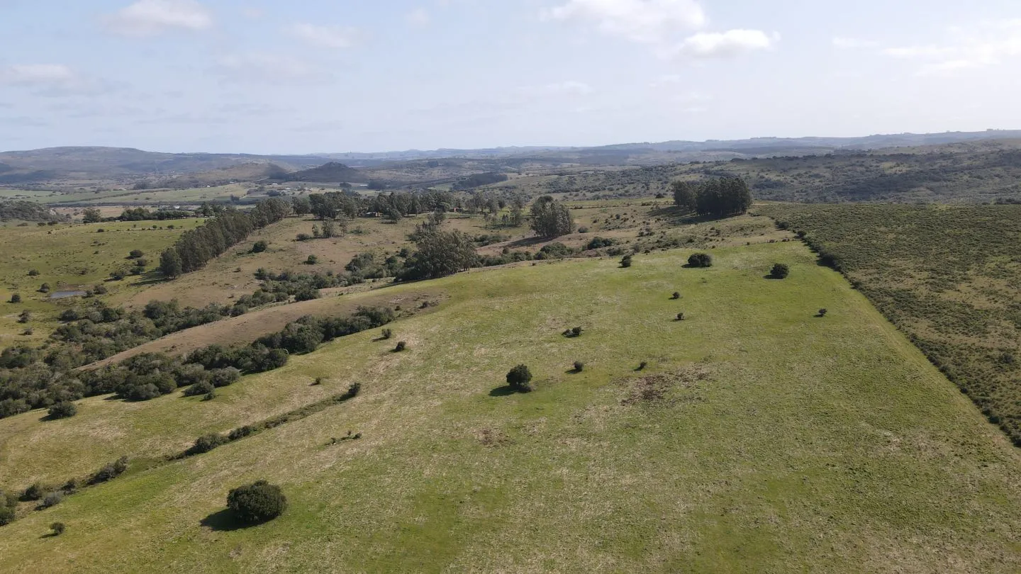 Establecimiento completo de 51ha Pueblo Edén ref 7082 — foto 8