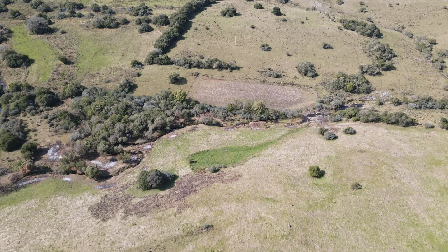 Establecimiento completo de 51ha Pueblo Edén ref 7082 — foto 9