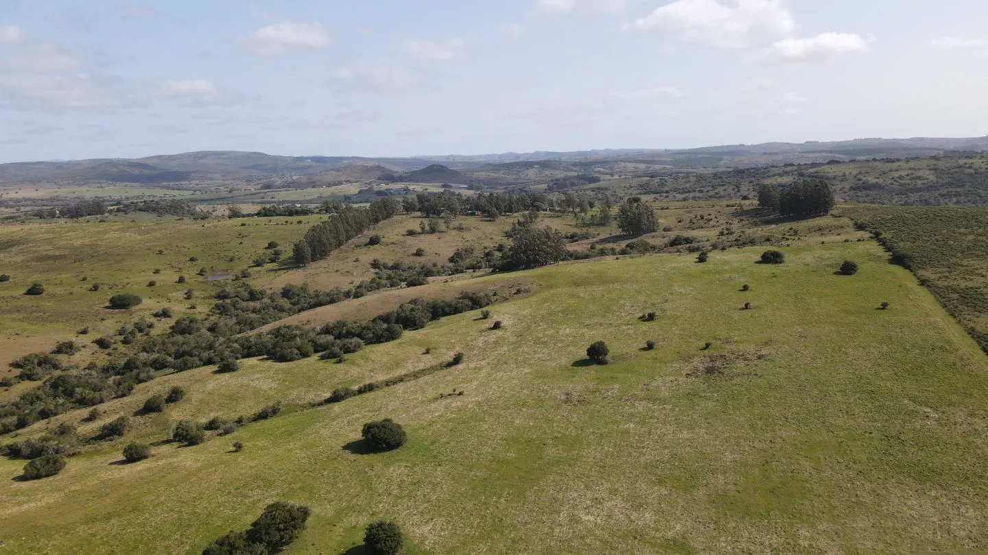 Establecimiento completo de 51ha Pueblo Edén ref 7082 — foto 10