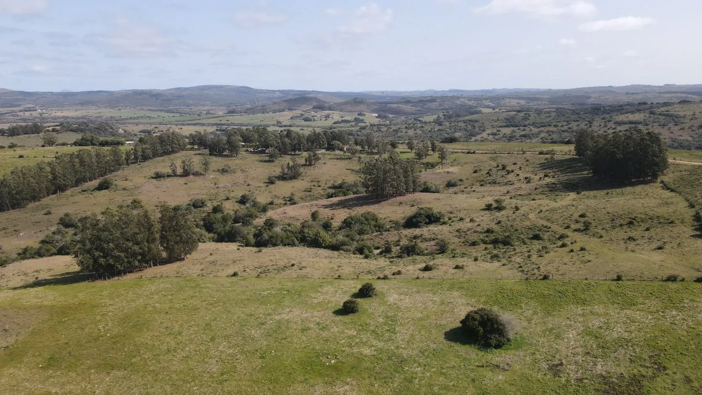 Establecimiento completo de 51ha Pueblo Edén ref 7082 — foto 11