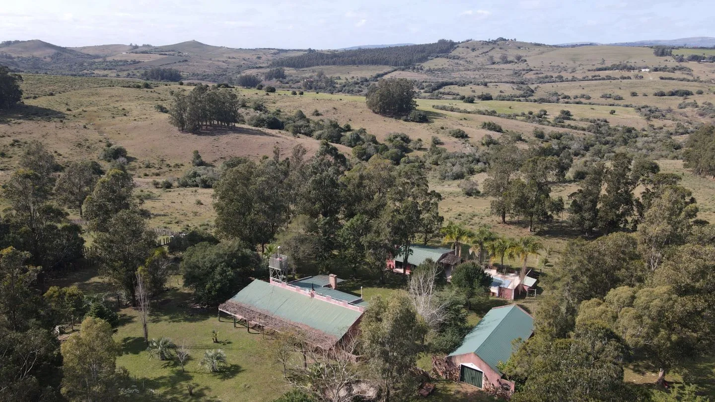 Establecimiento completo de 51ha Pueblo Edén ref 7082 — foto 12